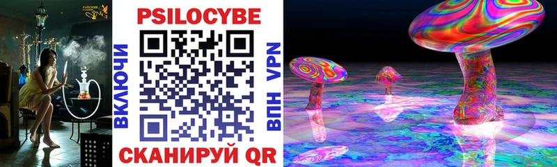 Галлюциногенные грибы Psilocybe  Аркадак 